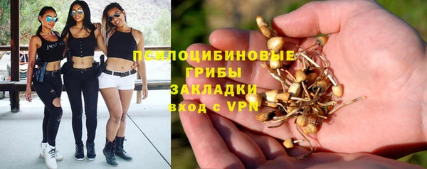 spice Весьегонск