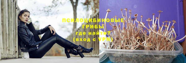 шишки Остров