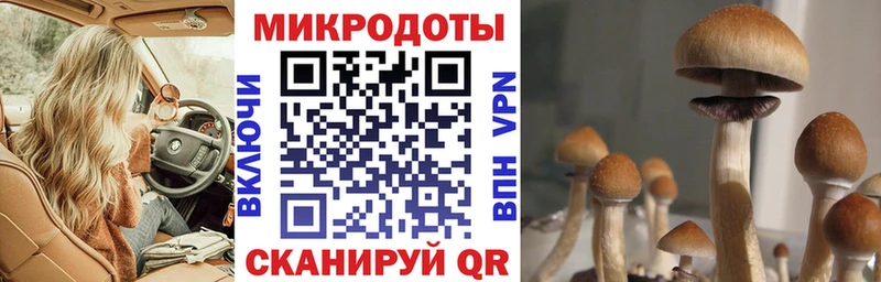 Псилоцибиновые грибы Psilocybe  hydra ТОР  Фурманов 