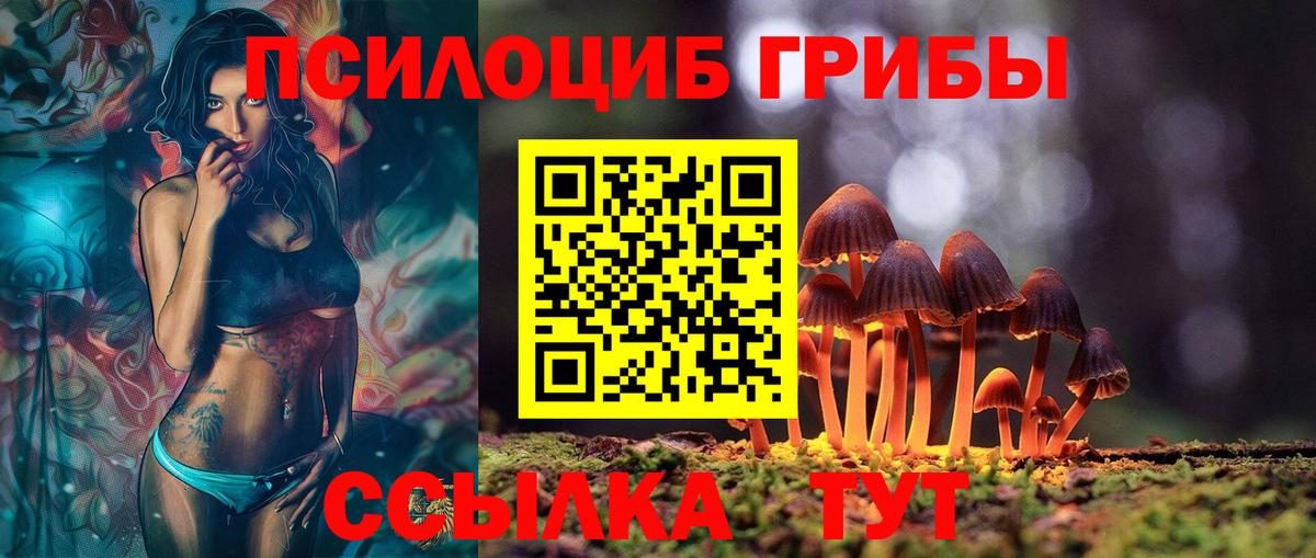 Галлюциногенные грибы Cubensis  Вход с VPN  Фурманов  Галлюциногенные грибы Psilocybine cubensis 